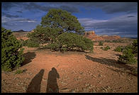 Sunset. Northern New Mexico.