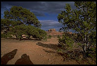 Sunset. Northern New Mexico.