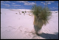 White Sands National Monument, New Mexico