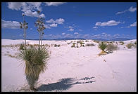 White Sands National Monument, New Mexico