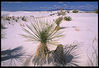 White Sands National Monument, New Mexico