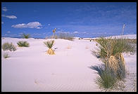White Sands National Monument, New Mexico