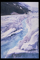 Columbia Icefields.  Canadian Rockies.