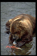 Katmai National Park (Alaska)