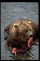 Katmai National Park (Alaska)