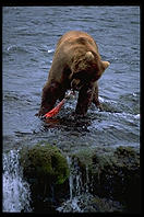 Katmai National Park (Alaska)