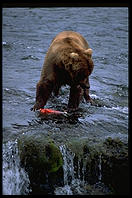 Katmai National Park (Alaska)