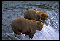 Katmai National Park (Alaska)