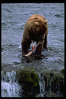 Katmai National Park (Alaska)