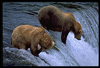 Katmai National Park (Alaska)