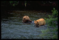 Katmai National Park (Alaska)