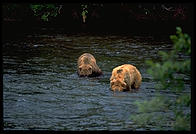 Katmai National Park (Alaska)