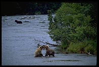 Katmai National Park (Alaska)