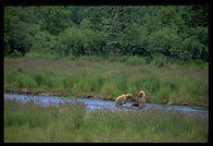 Katmai National Park (Alaska)