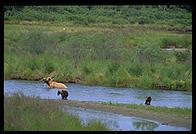 Katmai National Park (Alaska)