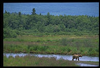 Katmai National Park (Alaska)