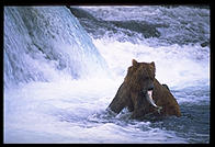 Katmai National Park (Alaska)