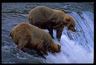 Katmai National Park (Alaska)