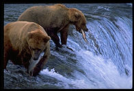 Katmai National Park (Alaska)