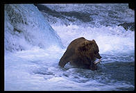 Katmai National Park (Alaska)