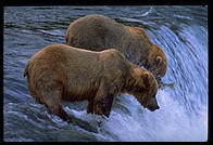 Katmai National Park (Alaska)
