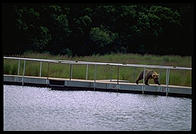 Katmai National Park (Alaska)