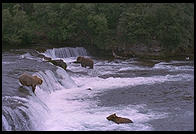 Katmai National Park (Alaska)