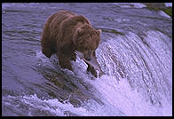 Katmai National Park (Alaska)