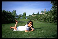 Maple. Ottawa, Canada.