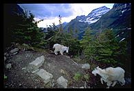 Two mountain goals in Glacier National Park (Montana)