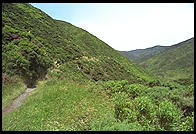 Rimutaka Range, just outside of Wellington, New Zealand.
