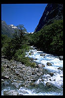 Yet another beautiful river somewhere in New Zealand