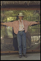 A helpful Gorilla versus human comparison chart.  Susan is the test gorilla here.