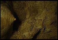 Carlsbad Caverns National Park, New Mexico