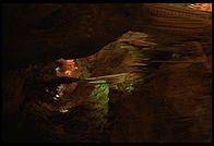 Carlsbad Caverns National Park, New Mexico