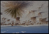 White Sands National Monument, New Mexico