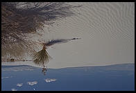 White Sands National Monument, New Mexico