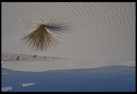 White Sands National Monument, New Mexico