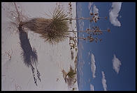 White Sands National Monument, New Mexico
