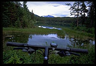 The view from my handlebars mountain biking through the Five Lakes district of Jasper National Park