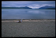 The beach on Naknek Lake.  Katmai National Park, Alaska.