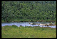 Katmai National Park, Alaska.