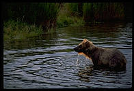 Sunset at Katmai National Park, Alaska.