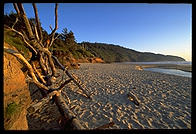 The Oregon coast. 