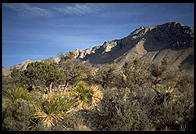 Guadalupe Mountains National Park, Texas