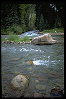 What I saw from my little bike ride in Aspen