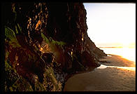 A slimy cliff on the Oregon Coast