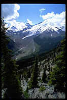 Mt. Rainier (Washington State)