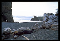 Ruby Beach. Olympic National Park (Washington State)