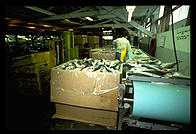 The frozen salmon line at Petersburg Fisheries.  Petersburg, Alaska.
